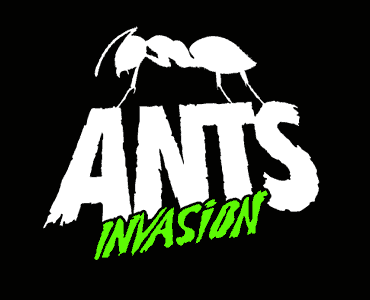 Ants Invasion Ibiza 2022