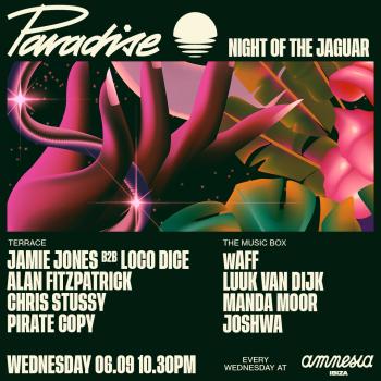 Paradise at Amnesia September 6