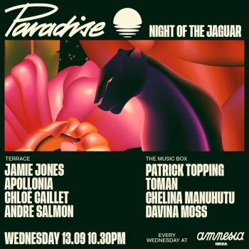 paradise at Amnesia September 13