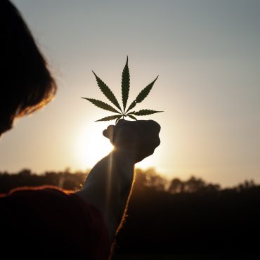 Germany Introduces Initial Draft Bill to Legalize Cannabis