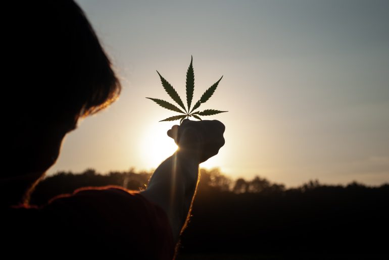 Germany Introduces Initial Draft Bill to Legalize Cannabis