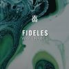 Fideles and Nathan Collaborate on Enchanting Track ‘Waterfall’ Released by Tomorrowland Music