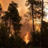 Red Alert: Wildfire Warnings for Travelers to Ibiza and Balearic Islands