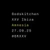 Godskitchen XXV at Amnesia, September 27