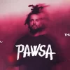 Pawsa at SantAnna Mykonos, August 14